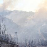 Sul Informação - Hotel do Grupo Pestana e várias localidades de Portimão evacuadas devido ao incêndio