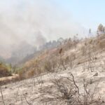Sul Informação - Hotel do Grupo Pestana e várias localidades de Portimão evacuadas devido ao incêndio