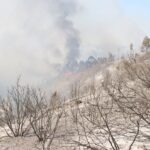 Sul Informação - Hotel do Grupo Pestana e várias localidades de Portimão evacuadas devido ao incêndio
