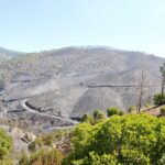 Sul Informação - Hotel do Grupo Pestana e várias localidades de Portimão evacuadas devido ao incêndio