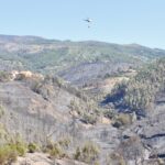 Sul Informação - Hotel do Grupo Pestana e várias localidades de Portimão evacuadas devido ao incêndio