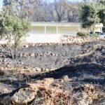 Sul Informação - Hotel do Grupo Pestana e várias localidades de Portimão evacuadas devido ao incêndio