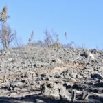 Sul Informação - Hotel do Grupo Pestana e várias localidades de Portimão evacuadas devido ao incêndio