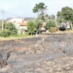Sul Informação - Hotel do Grupo Pestana e várias localidades de Portimão evacuadas devido ao incêndio