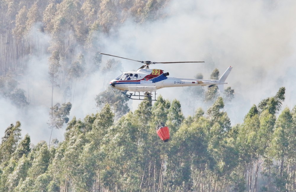 Sul Informação - Fotogaleria: Fogo continua incontrolável na Serra de Monchique