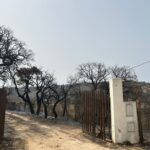 Sul Informação - Dispositivo não desmobiliza para combater reacendimentos do incêndio