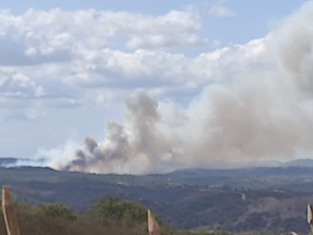 Sul Informação - Incêndio em São Teotónio já atingiu habitações, mas está a ceder aos meios