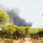 Sul Informação - Lixeira arde a curta distância do incêndio de Gambelas [com vídeo]