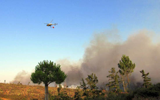 Sul Informação - Incêndio da Mexilhoeira Grande declarado dominado às 6h50 da manhã