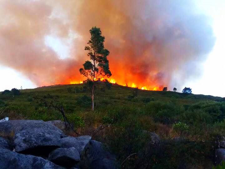 Sul Informação - Incendiário detido em flagrante delito pela GNR na Fóia