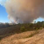 Sul Informação - 11 idosos do Lar da Pereira retirados por precaução devido ao incêndio, casas evacuadas