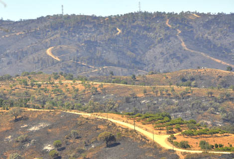 Sul Informação - Incêndios condicionam crescimento do projeto Life «Habitat Lince/Abutre» na Serra do Caldeirão