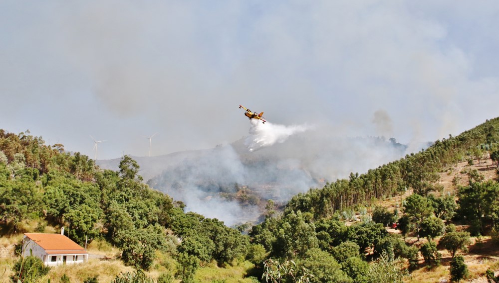 Sul Informação - «Próximas horas vão ser fundamentais» para controlar de vez incêndio de Monchique (com fotos)