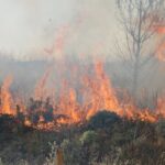 Sul Informação - «Próximas horas vão ser fundamentais» para controlar de vez incêndio de Monchique (com fotos)