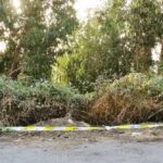 Sul Informação - «Próximas horas vão ser fundamentais» para controlar de vez incêndio de Monchique (com fotos)