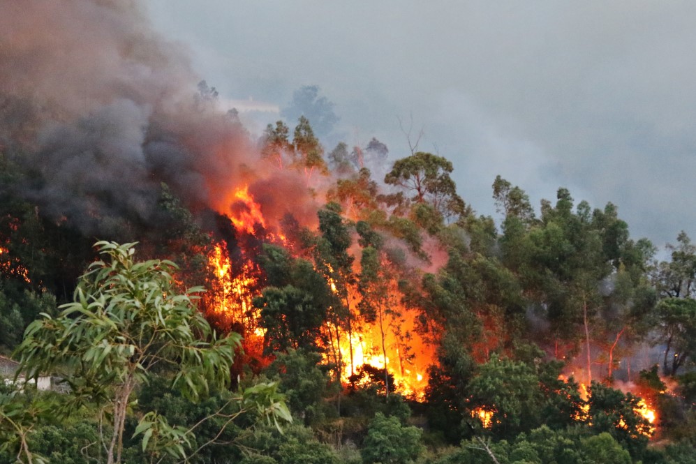 Sul Informação - «Próximas horas vão ser fundamentais» para controlar de vez incêndio de Monchique (com fotos)