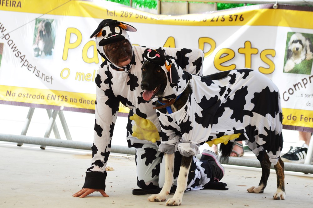 Sul Informação - Cães parecidos com os donos e muita coisa para ver e comprar na International Algarve Fair em Lagoa [fotogaleria]