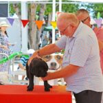 Sul Informação - Cães parecidos com os donos e muita coisa para ver e comprar na International Algarve Fair em Lagoa [fotogaleria]