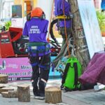 Sul Informação - Cães parecidos com os donos e muita coisa para ver e comprar na International Algarve Fair em Lagoa [fotogaleria]