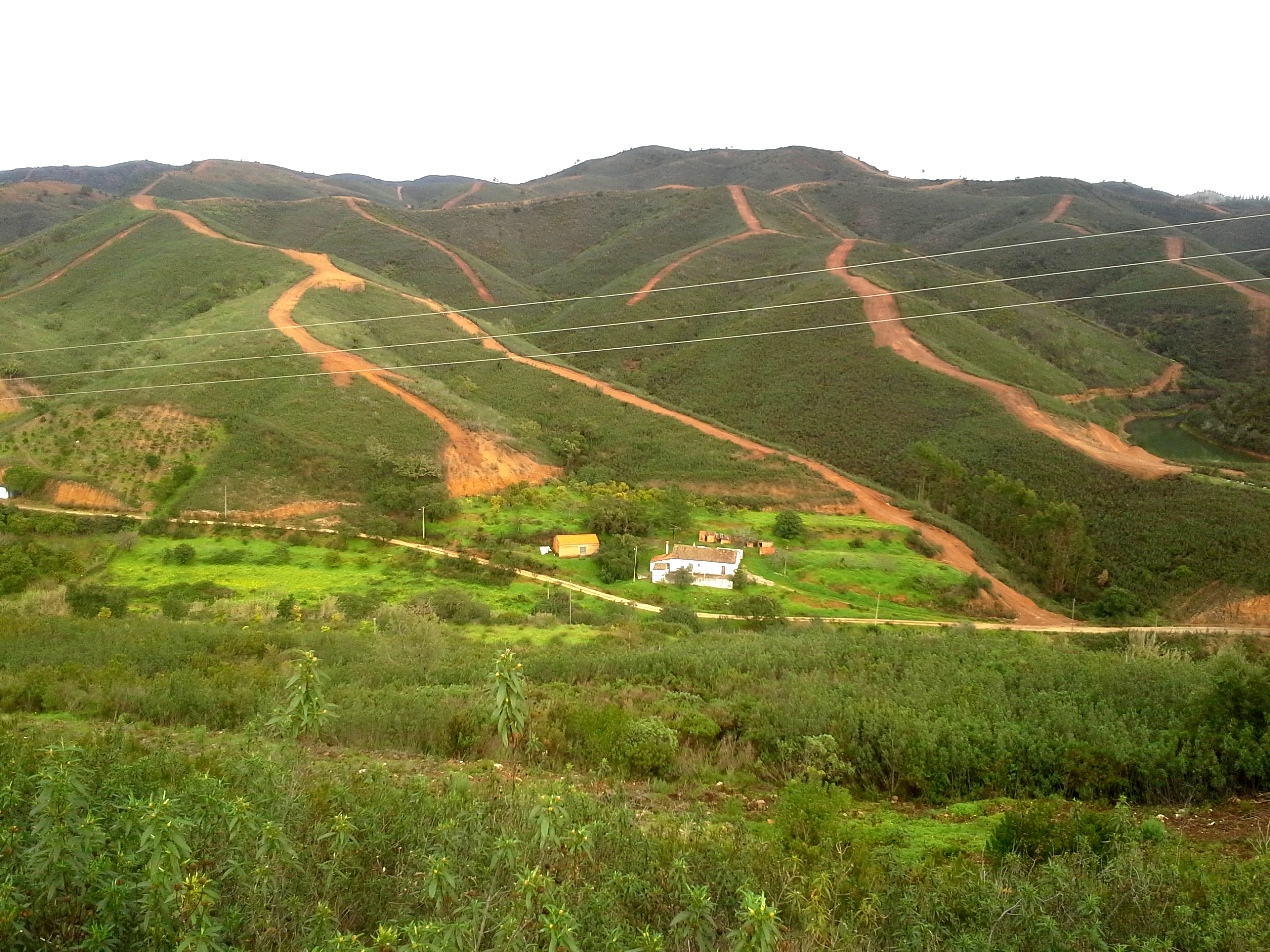 Sul Informação - Exército dá grande ajuda a Silves na proteção da floresta e da serra