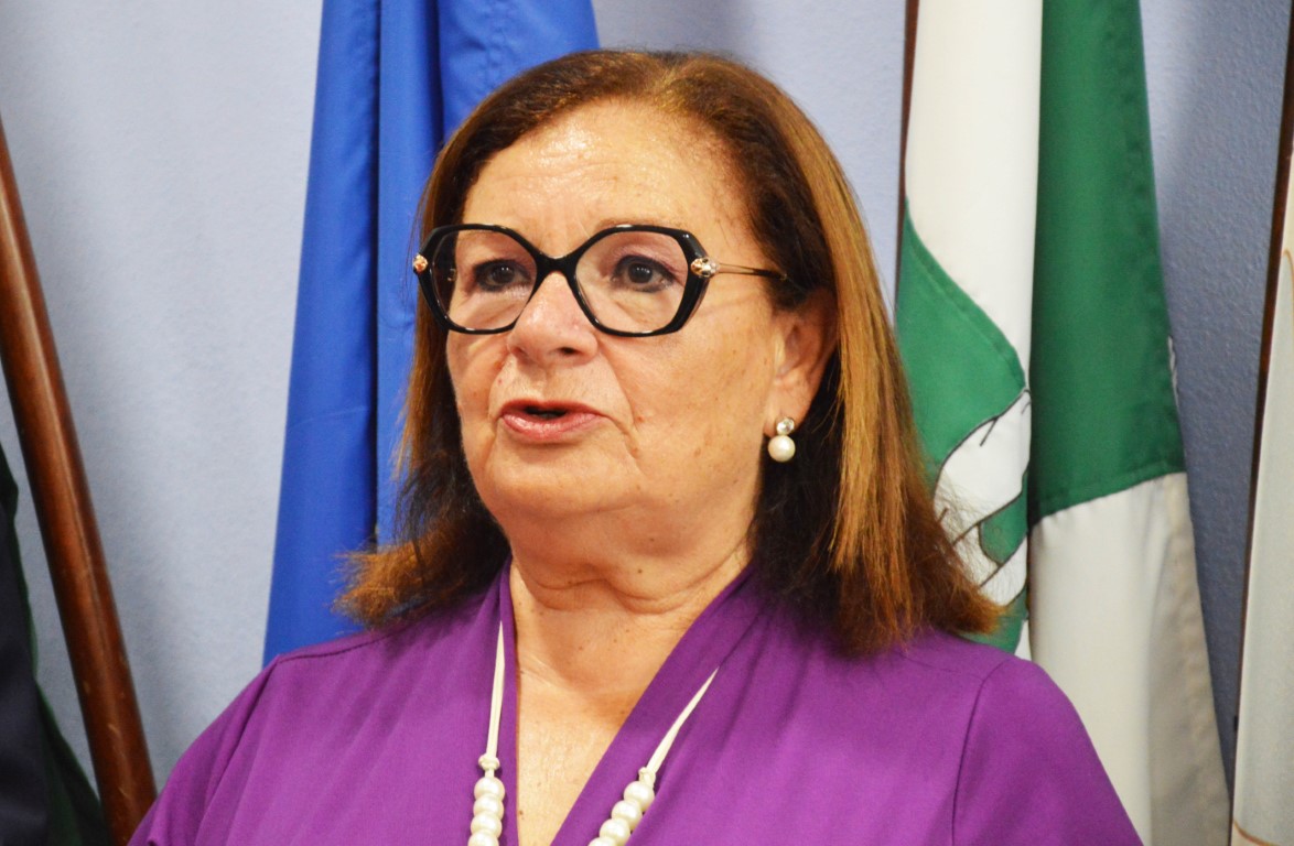 Sul Informação - Isilda Gomes é candidata do PS ao Parlamento Europeu
