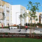 Sul Informação - Terreno baldio transforma-se em jardim na Horta do Pádua de Olhão
