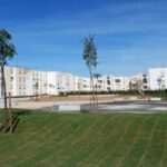 Sul Informação - Terreno baldio transforma-se em jardim na Horta do Pádua de Olhão