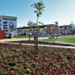 Sul Informação - Terreno baldio transforma-se em jardim na Horta do Pádua de Olhão
