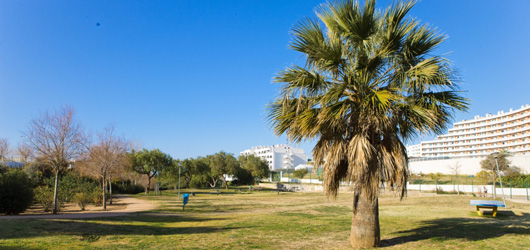 Sul Informação - Câmara de Albufeira remodela parque infantil de Vale de Faro e zona envolvente