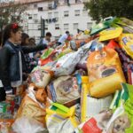 Sul Informação - Solidariedade «enorme» de Olhão deu em 2 toneladas de ração para animais abandonados
