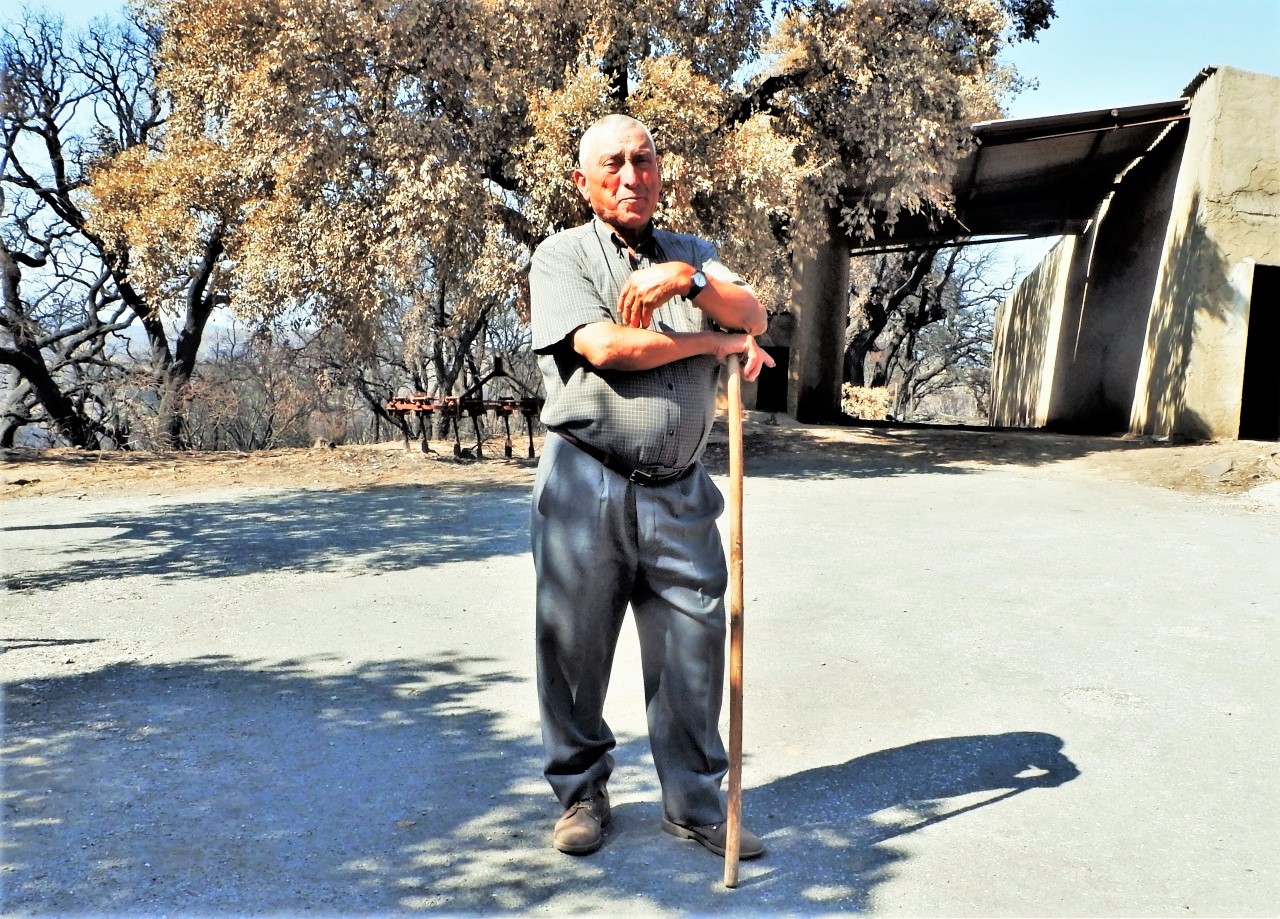 Sul Informação - 150 agricultores já declararam prejuízos com os incêndios, mas pode haver mais