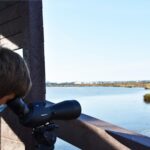 Sul Informação - Jovens de Castro Marim descobriram avifauna do trilho do Cerro do Bufo