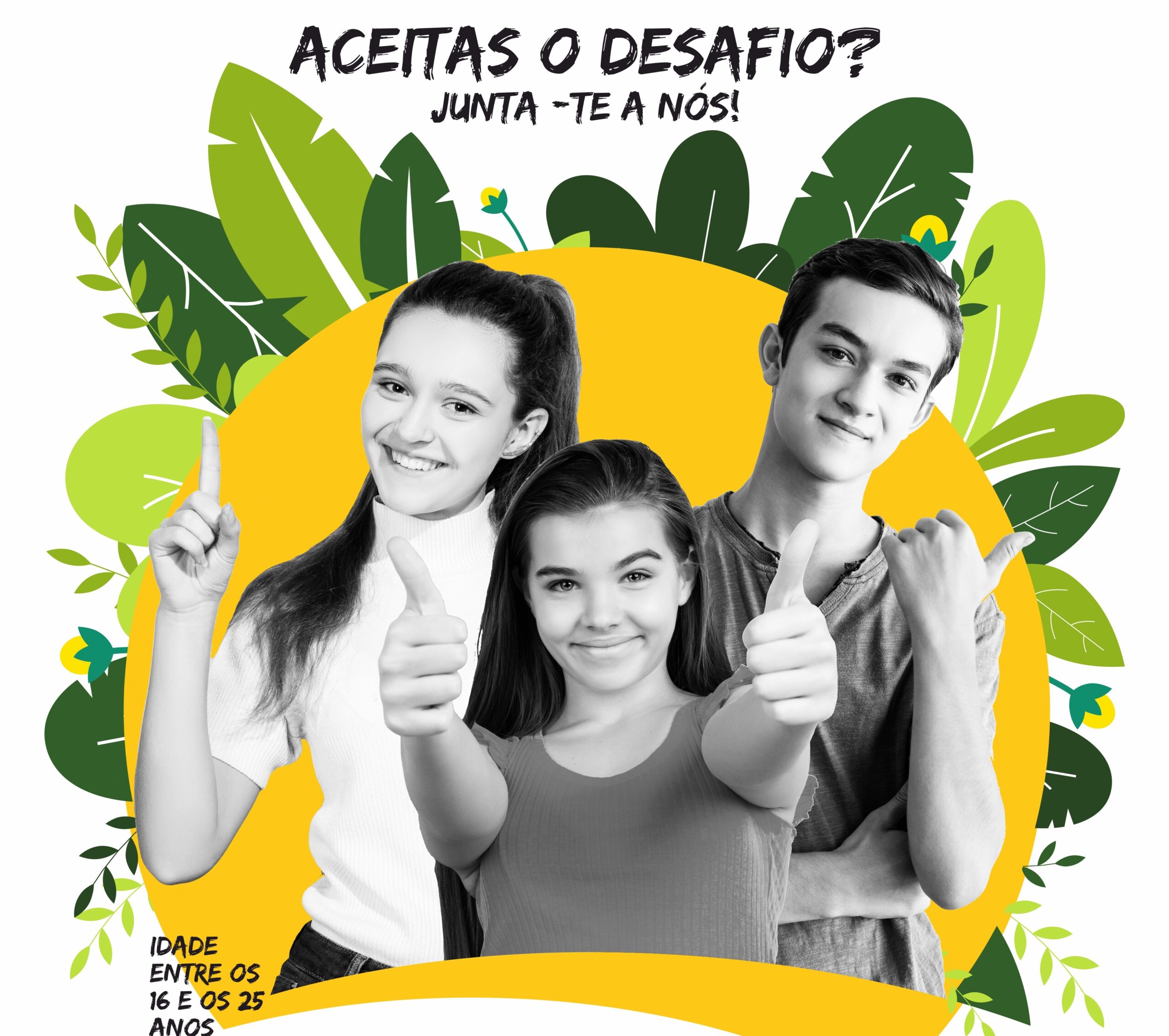 Sul Informação - Castro Marim desafia jovens a cuidar do ambiente durante o Verão
