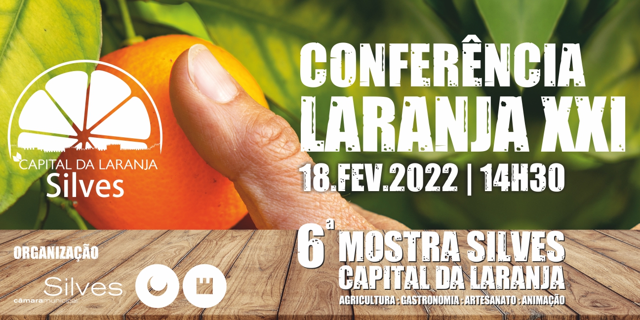 Sul Informação