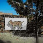 Sul Informação - Há um lince-ibérico feito de pedra para ver no Pereiro