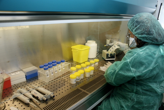 Sul Informação - ARS nega desmantelamento do Laboratório Regional de Saúde Pública denunciado pelo PS