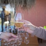 Sul Informação - Lagoa proporcionou Wine Experiences a duas centenas de pessoas
