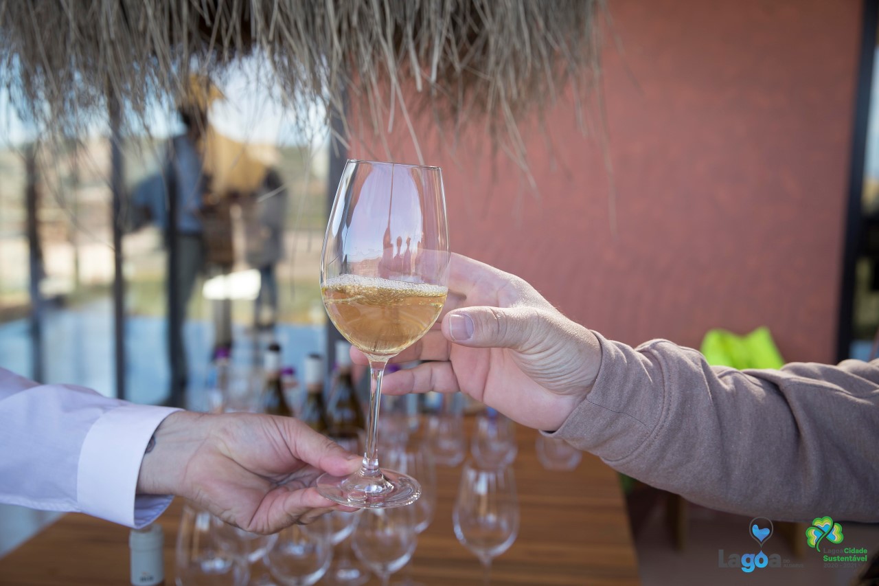 Sul Informação - Lagoa proporcionou Wine Experiences a duas centenas de pessoas