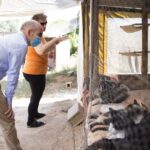 Sul Informação - Município de Lagoa apoia associações de proteção animal do concelho
