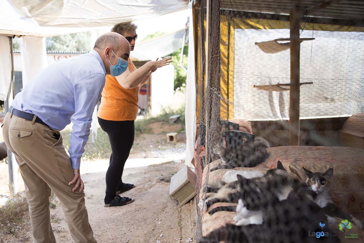 Sul Informação - Município de Lagoa apoia associações de proteção animal do concelho