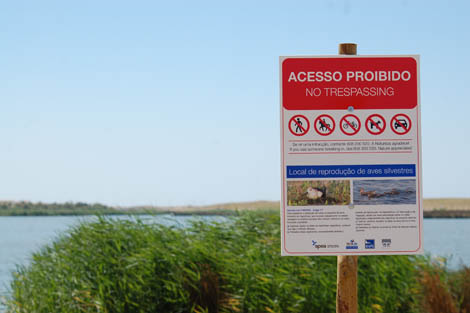 Sul Informação - Governo pede parecer à Agência Portuguesa do Ambiente sobre «pertinência» de AIA na Praia Grande