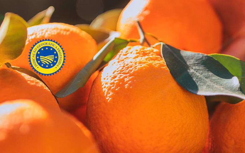 Sul Informação - Continente vai comprar 10 mil toneladas de Laranja do Algarve