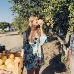 Sul Informação - Turismo e Direção Regional de Agricultura oferecem laranjas aos turistas no Aeroporto