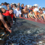 Sul Informação - Dia do Pescador em Quarteira vai ter música, gastronomia e a tradicional lavada