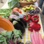 Sul Informação - Precisa de legumes e frutas? Há produtores que os levam até si