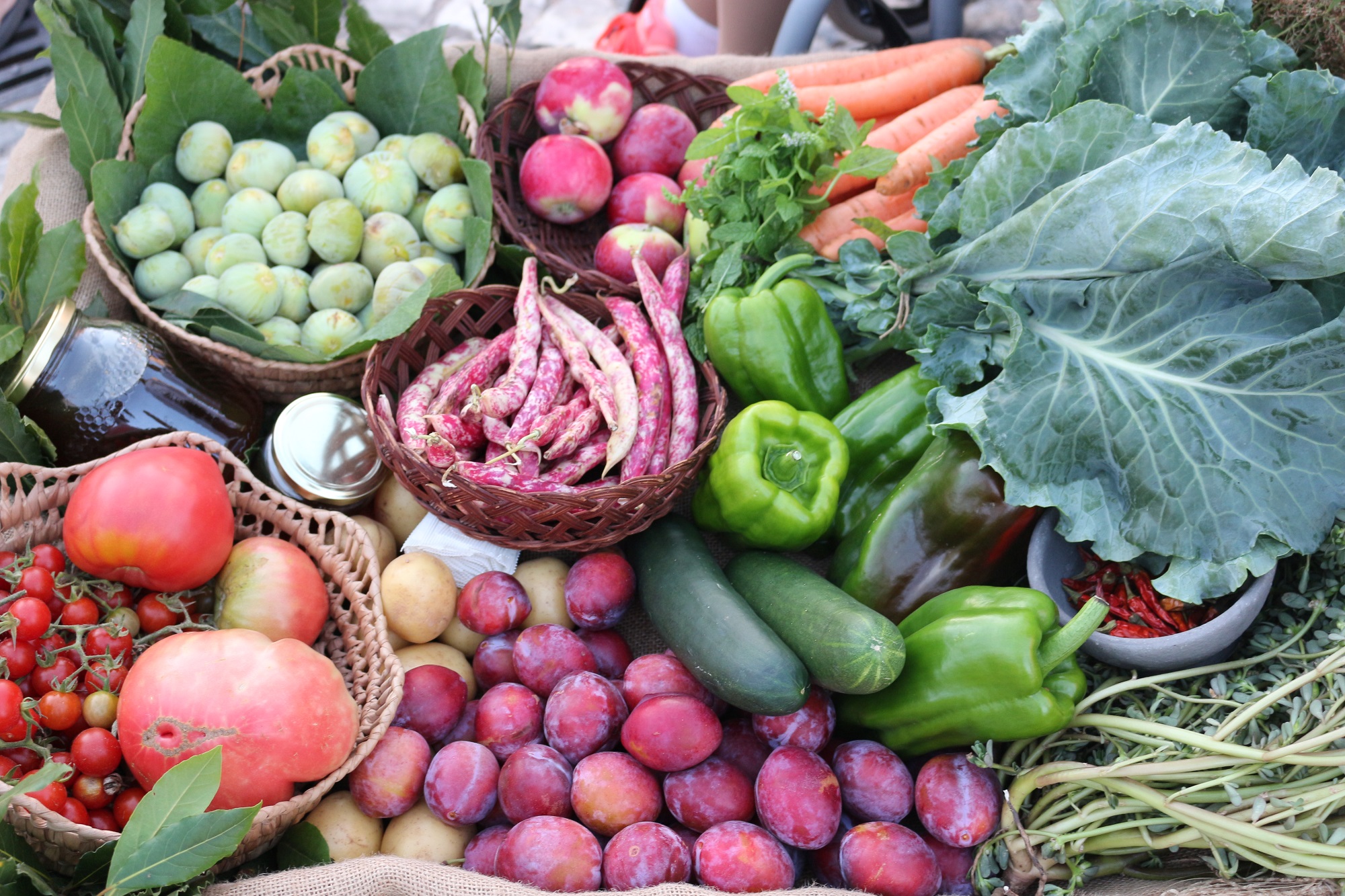 Sul Informação - Precisa de legumes e frutas? Há produtores que os levam até si