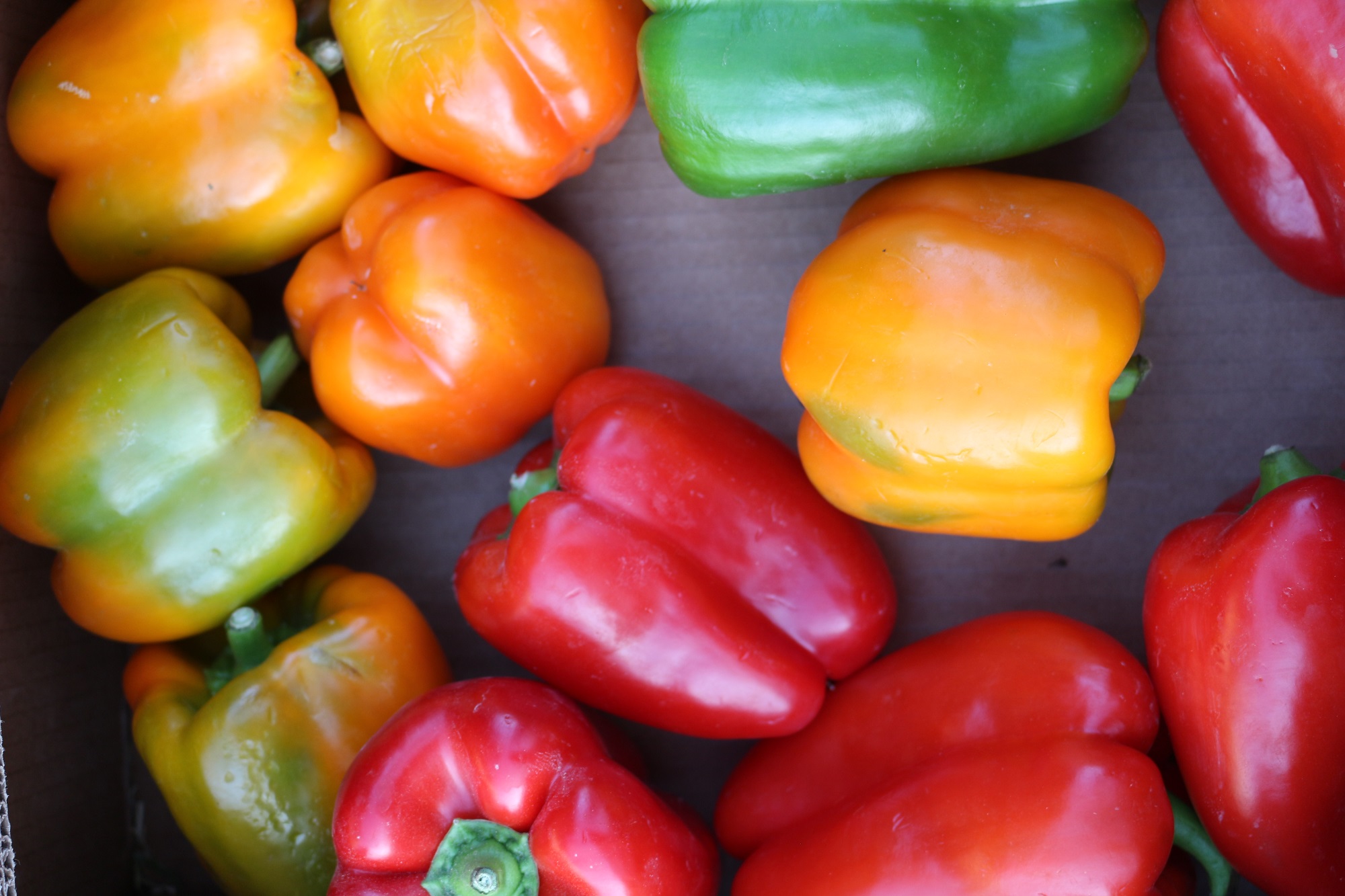Sul Informação - Precisa de legumes e frutas? Há produtores que os levam até si