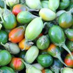 Sul Informação - Precisa de legumes e frutas? Há produtores que os levam até si