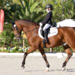 Sul Informação - Jovem cavaleira louletana sagra-se Campeã de Portugal de Dressage