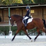Sul Informação - Jovem cavaleira louletana sagra-se Campeã de Portugal de Dressage